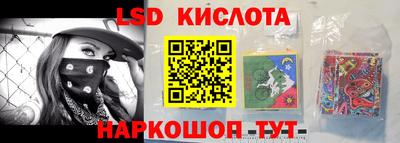 прущие грибы Новокубанск