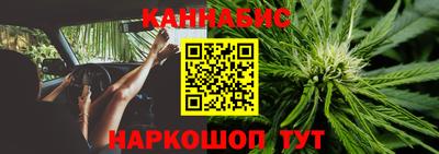 прущие грибы Новокубанск
