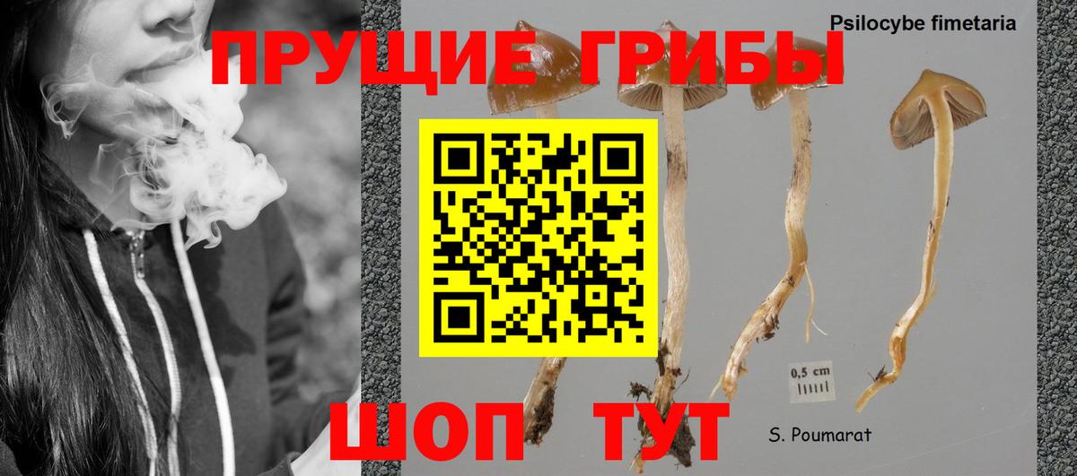 Тихвин  сколько стоит  Вход с VPN  Галлюциногенные грибы мухоморы  Псилоцибиновые грибы Cubensis 