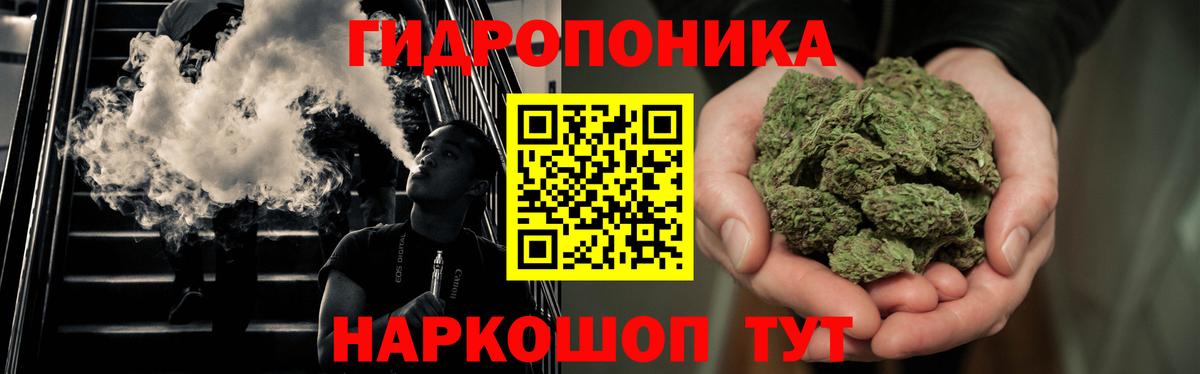 Бошки Шишки планчик Тихвин
